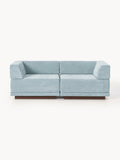 Colin Modular Sofa (2-seater) — Light Blue